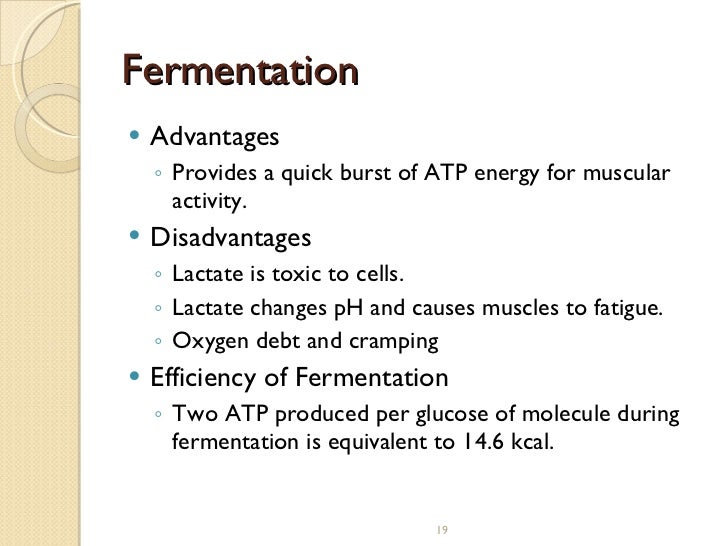 Photosynthesis/Cell Resp. 2