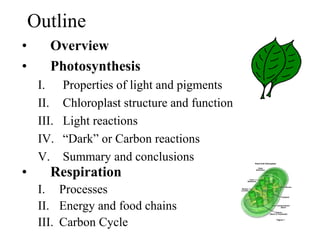 Outline
• Overview
• Photosynthesis
I. Properties of light and pigments
II. Chloroplast structure and function
III. Light reactions
IV. “Dark” or Carbon reactions
V. Summary and conclusions
• Respiration
I. Processes
II. Energy and food chains
III. Carbon Cycle
 