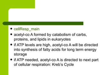 cellResp_main acetyl-co A formed by catabolism of carbs, proteins, and lipids in eukaryotes if ATP levels are high, acetyl-co A will be directed into synthesis of fatty acids for long term energy storage if ATP needed, acetyl-co A is directed to next part of cellular respiration: Kreb’s Cycle 