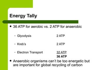 Energy Tally 36 ATP for aerobic vs. 2 ATP for anaerobic Glycolysis  2 ATP Kreb’s  2 ATP Electron Transport 32 ATP 36 ATP Anaerobic organisms can’t be too energetic but are important for global recycling of carbon 