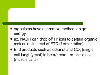 organisms have alternative methods to get energy ex. NADH can drop off H +  ions to certain organic molecules instead of ETC (fermentation) End products such as ethanol and CO 2  (single cell fungi (yeast) in beer/bread)  or  lactic acid (muscle cells) 