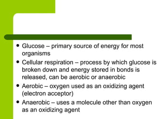 Glucose – primary source of energy for most organisms Cellular respiration – process by which glucose is broken down and energy stored in bonds is released, can be aerobic or anaerobic Aerobic – oxygen used as an oxidizing agent (electron acceptor) Anaerobic – uses a molecule other than oxygen as an oxidizing agent 