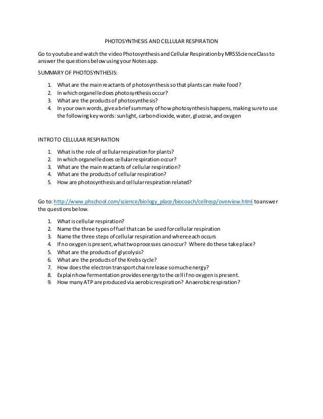 Photosynthesis And Cellular Respiration Online Activity