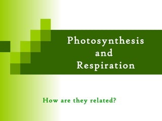 Photosynthesis
           and
       Respiration


How are they related?
 