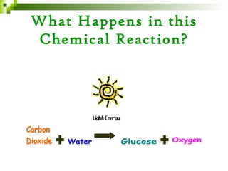 What Happens in this
Chemical Reaction?
 