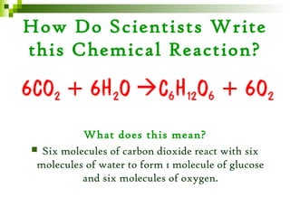 How Do Scientists Write
this Chemical Reaction?



          What does this mean?
 Six molecules of carbon dioxide react with six
 molecules of water to form 1 molecule of glucose
          and six molecules of oxygen.
 