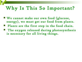 Why Is This So Important?
   We cannot make our own food (glucose,
    energy), we must get our food from plants.
    Plants are the first step in the food chain.
    The oxygen released during photosynthesis
    is necessary for all living things.
 