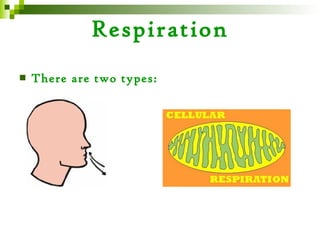 Respiration
   There are two types:
 