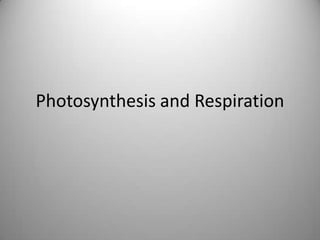 Photosynthesis and Respiration
 