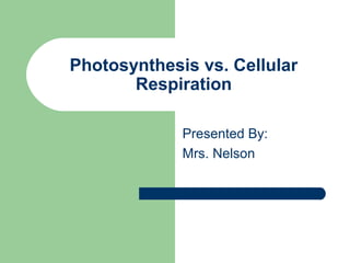 Photosynthesis vs. Cellular
Respiration
Presented By:
Mrs. Nelson
 