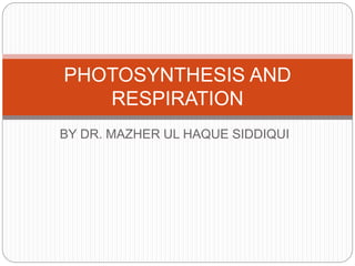 BY DR. MAZHER UL HAQUE SIDDIQUI
PHOTOSYNTHESIS AND
RESPIRATION
 
