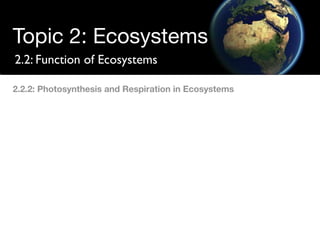 Topic 2: Ecosystems
2.2: Function of Ecosystems

2.2.2: Photosynthesis and Respiration in Ecosystems
 
