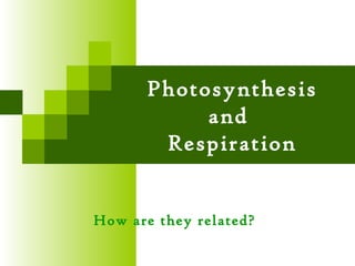 Photosynthesis 
and 
Respiration 
How are they related? 
 