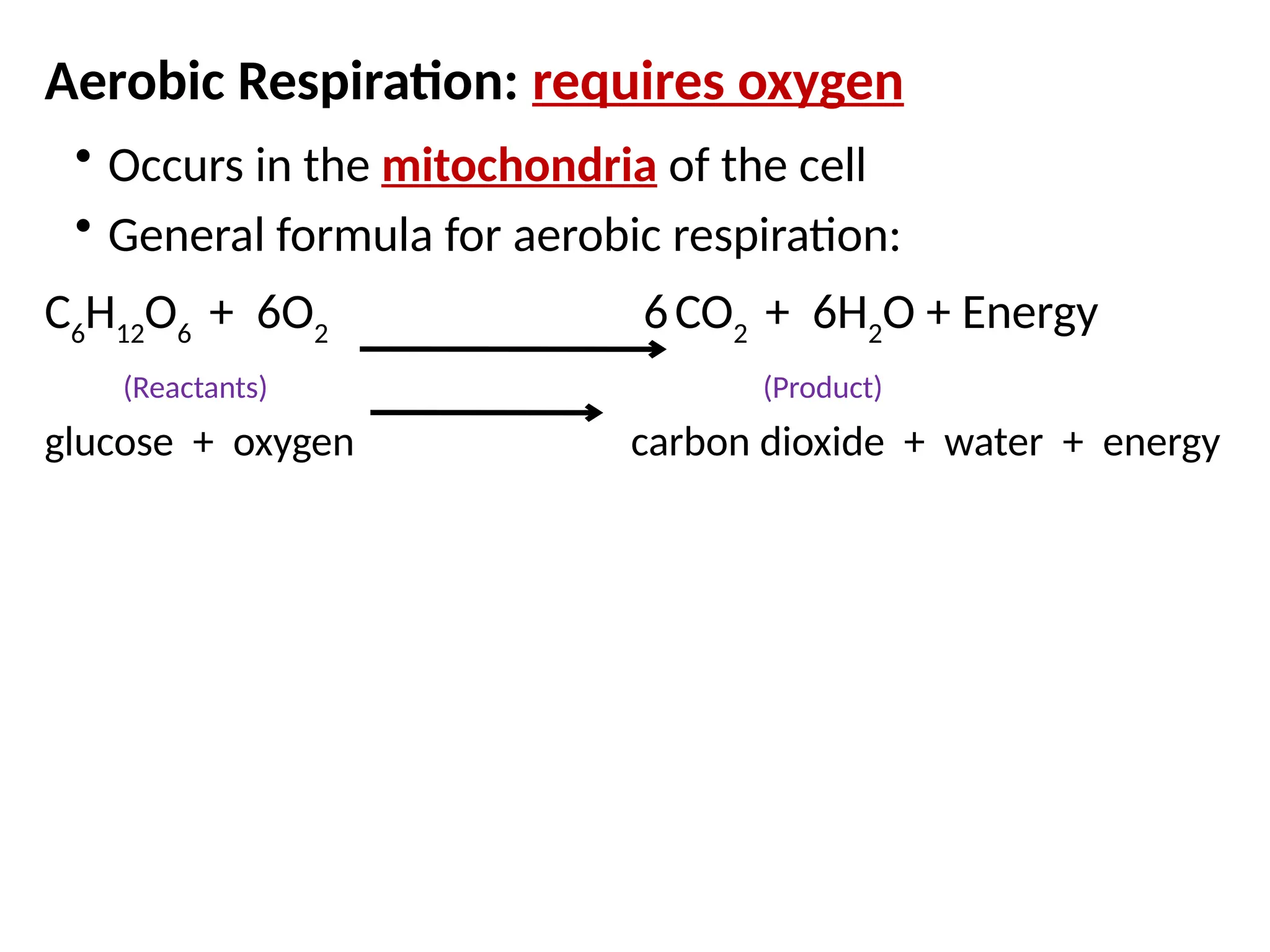 Photosynthesis ans Cellular Respiration PP.pptx