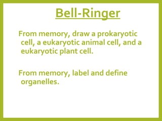 Bell-Ringer
From memory, draw a prokaryotic
cell, a eukaryotic animal cell, and a
eukaryotic plant cell.
From memory, label and define
organelles.

 