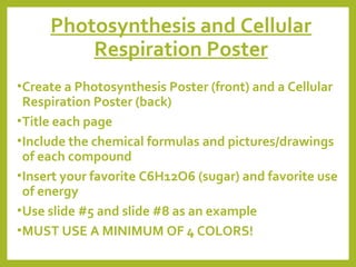 Photosynthesis and Cellular
Respiration Poster
• Create a Photosynthesis Poster (front) and a Cellular

Respiration Poster (back)
• Title each page
• Include the chemical formulas and pictures/drawings
of each compound
• Insert your favorite C6H12O6 (sugar) and favorite use
of energy
• Use slide #5 and slide #8 as an example
• MUST USE A MINIMUM OF 4 COLORS!

 