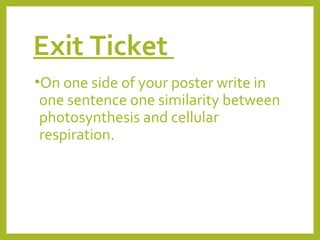 Exit Ticket
•On one side of your poster write in

one sentence one similarity between
photosynthesis and cellular
respiration.

 