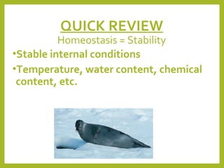 QUICK REVIEW

Homeostasis = Stability
•Stable internal conditions
•Temperature, water content, chemical
content, etc.

 
