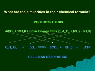 Photosynthesis & Cellular Respiration PowerPoint.pptx