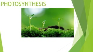 PHOTOSYNTHESIS
 