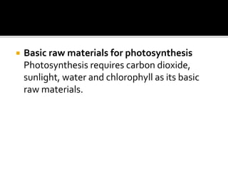 Photosynthesis class 10.pptx