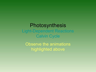 Photosynthesis
Light-Dependent Reactions
Calvin Cycle
Observe the animations
highlighted above
 