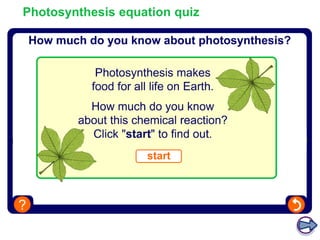 Photosynthesis equation quiz
 