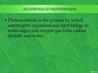 • Photosynthesis is the process by which
autotrophic organisms use light energy to
make sugar and oxygen gas from carbon
dioxide and water.
AN OVERVIEW OF PHOTOSYNTHESIS
 
