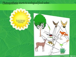 Photosynthesis-starts to ecological food webs!
 