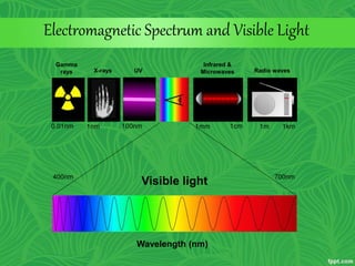 Electromagnetic Spectrum and Visible Light
Gamma
rays X-rays UV
Infrared &
Microwaves Radio waves
Visible light
Wavelength (nm)
 