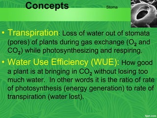 Concepts
• Transpiration: Loss of water out of stomata
(pores) of plants during gas exchange (O2 and
CO2) while photosynthesizing and respiring.
• Water Use Efficiency (WUE): How good
a plant is at bringing in CO2 without losing too
much water. In other words it is the ratio of rate
of photosynthesis (energy generation) to rate of
transpiration (water lost).
Stoma
 