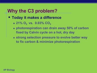 AP Biology
Why the C3 problem?
 Today it makes a difference
 21% O2 vs. 0.03% CO2
 photorespiration can drain away 50% of carbon
fixed by Calvin cycle on a hot, dry day
 strong selection pressure to evolve better way
to fix carbon & minimize photorespiration
 