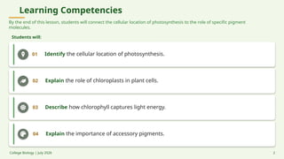 Learning Competencies
By the end of this lesson, students will connect the cellular location of photosynthesis to the role of specific pigment
molecules.
Students will:
01 Identify the cellular location of photosynthesis.
02 Explain the role of chloroplasts in plant cells.
03 Describe how chlorophyll captures light energy.
04 Explain the importance of accessory pigments.
College Biology | July 2026 2
 
