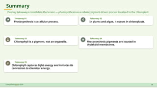 Summary
Five key takeaways consolidate the lesson — photosynthesis as a cellular, pigment-driven process localized to the chloroplast.
Takeaway 01
Photosynthesis is a cellular process.
Takeaway 02
In plants and algae, it occurs in chloroplasts.
Takeaway 03
Chlorophyll is a pigment, not an organelle.
Takeaway 04
Photosynthetic pigments are located in
thylakoid membranes.
Takeaway 05
Chlorophyll captures light energy and initiates its
conversion to chemical energy.
College Biology July 2026 22
 