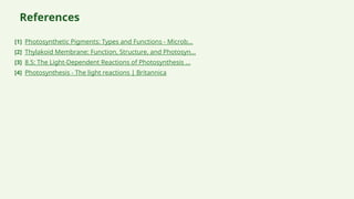 References
[1] Photosynthetic Pigments: Types and Functions - Microb...
[2] Thylakoid Membrane: Function, Structure, and Photosyn...
[3] 8.5: The Light-Dependent Reactions of Photosynthesis ...
[4] Photosynthesis - The light reactions | Britannica
 