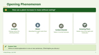 Opening Phenomenon
How can a plant increase in mass without eating?
Sunlight
Energy source for
photosynthesis
Water
Absorbed through roots from
soil
Carbon Dioxide
Taken in via leaf stomata
Growing Plant
Builds mass from light and
molecules
Student Task
Write an initial explanation in one or two sentences. (Think before you discuss.)
College Biology | July 2026 3
 