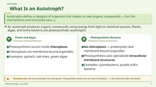 Autotrophs
What Is an Autotroph?
Autotrophs define a category of organism that makes its own organic compounds — but the
mechanisms and structures vary. [1]
An autotroph produces organic compounds using energy from light or chemical sources. Plants,
algae, and some bacteria are photosynthetic autotrophs.
Plants and Algae
Eukaryotic photosynthesizers
Photosynthetic Bacteria
Prokaryotic photosynthesizers
Precision note: Not every autotroph has chloroplasts. Photosynthetic bacteria do not have chloroplasts — a key distinction often overlooked.
College Biology | July 2026 4
●Photosynthesis occurs inside chloroplasts
●Chloroplasts are membrane-bound organelles
●Examples: spinach, oak trees, green algae
●No chloroplasts — prokaryotes lack
membrane-bound organelles
●Photosynthesis uses specialized intracellular
membrane structures
●Examples: cyanobacteria, purple sulfur
bacteria
 