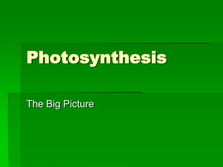 Photosynthesis

The Big Picture
 