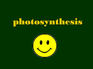 photosynthesis
 