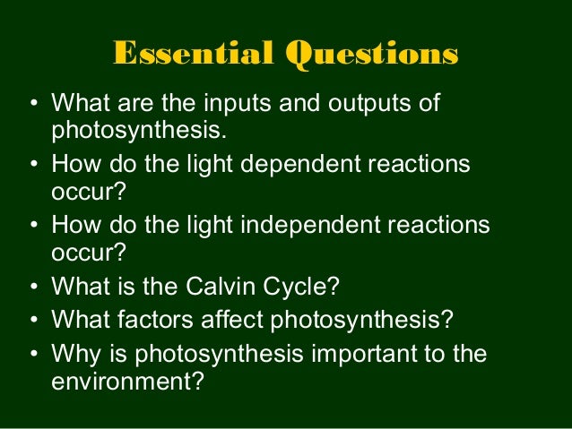 How does photosynthesis affect the environment?