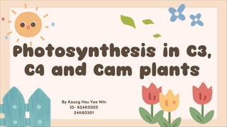 Photosynthesis in C3, C4 and CAM plants.pdf