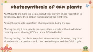 Photosynthesis in C3, C4 and CAM plants.pdf