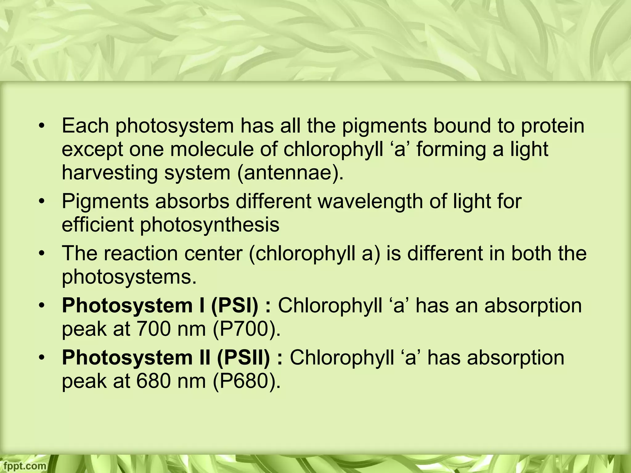 All Of The Following Pertain To Photosynthesis Except