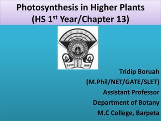 Photosynthesis in Higher Plants
(HS 1st Year/Chapter 13)
Tridip Boruah
(M.Phil/NET/GATE/SLET)
Assistant Professor
Department of Botany
M.C College, Barpeta
 