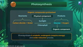 Topper Photosynthesis Overview Photosynthesis in Higher Plants aakash byjus.pdf