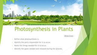 Photosynthesis in Plants
Objectives:
• Define what photosynthesis is.
• Identify the parts responsible for it to occur.
• Name the things needed for it to occur.
• Identify the gases needed and released during the process.
 