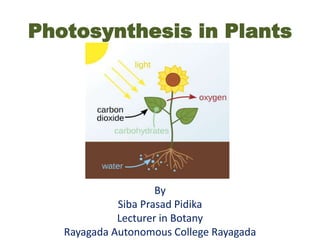Photosynthesis in Plants
By
Siba Prasad Pidika
Lecturer in Botany
Rayagada Autonomous College Rayagada
 