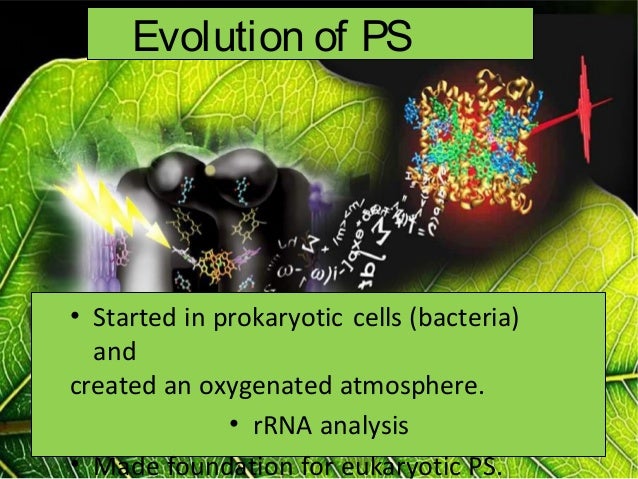 Photosynthesis intro Photosynthesis intro