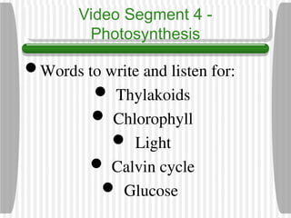 photosynthesisintroduction-Grade 9 Science.ppt