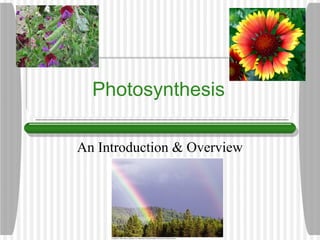 Photosynthesis
An Introduction & Overview
 